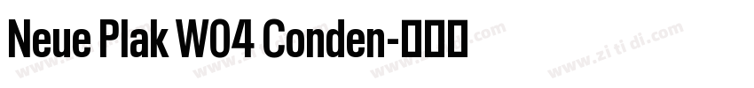 Neue Plak W04 Conden字体转换